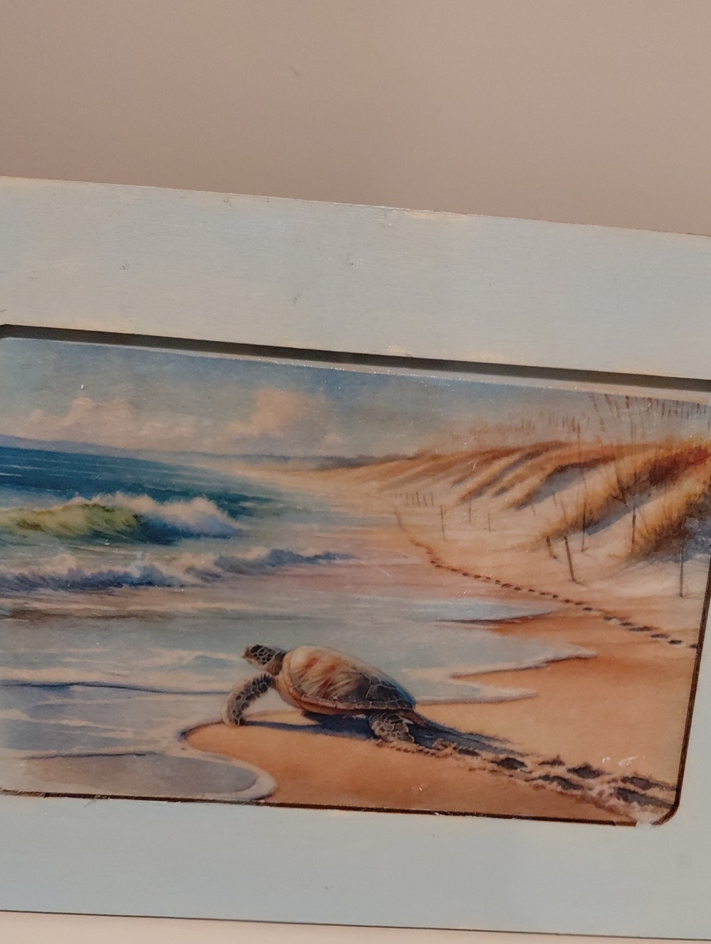 Coastal Sea Turtle Wall Art in Blue and Tan - Deciupaged